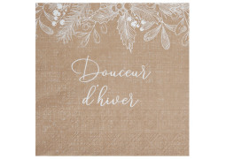 20 Serviettes kraft douceur d'hiver